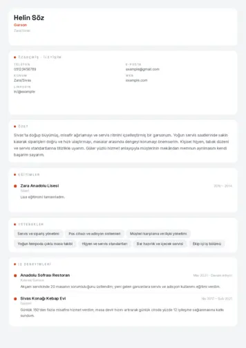  cv indir